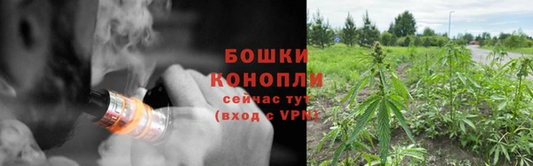 дживик Каменск-Шахтинский