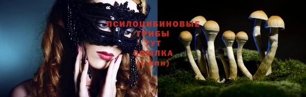 дживик Каменск-Шахтинский