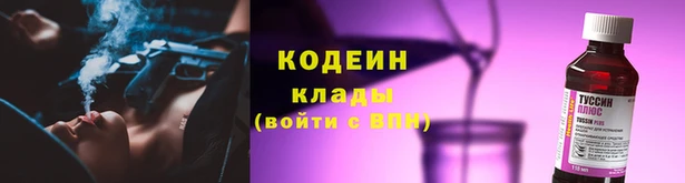 СК Каменногорск