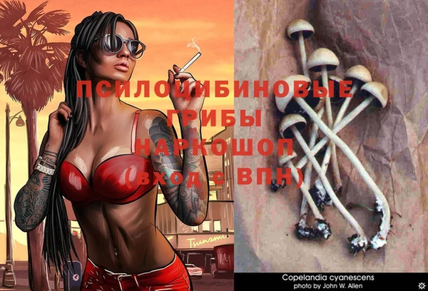 jwh Каменка