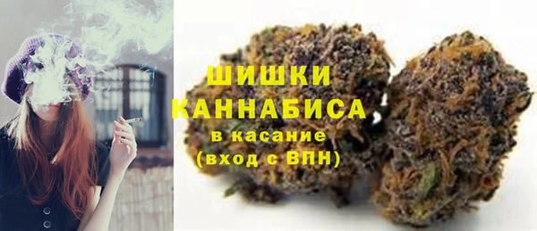 стафф Каменка