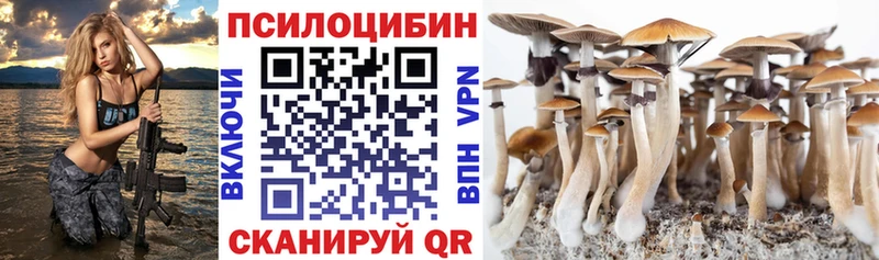 Псилоцибиновые грибы Psilocybe  kraken как войти  Карталы  купить закладку 