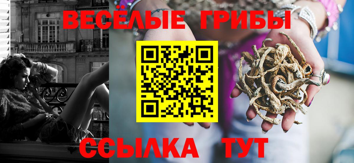 Псилоцибиновые грибы прущие грибы Карталы