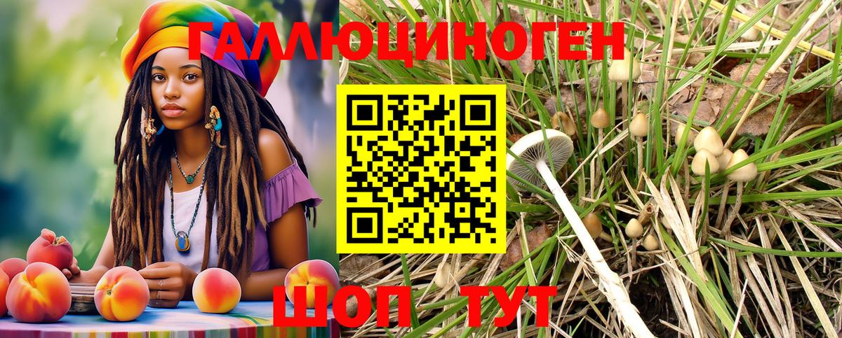 Псилоцибиновые грибы мухоморы  Галлюциногенные грибы MAGIC MUSHROOMS  Карталы  Вход с VPN 